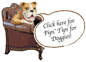 Pips Tips for Doggies